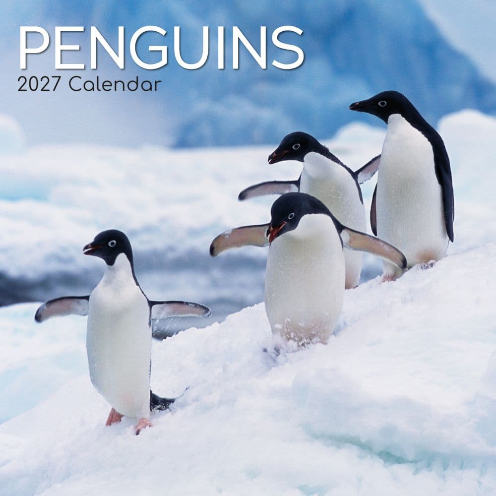 Penguins 2027 Wall Calendar Main Product Image