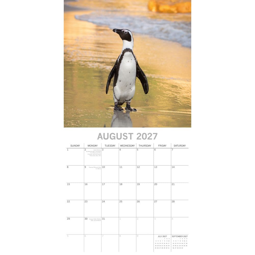 Penguins 2027 Wall Calendar Second Alternate Image