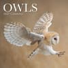 image Owls 2027 Wall Calendar Main Product Image