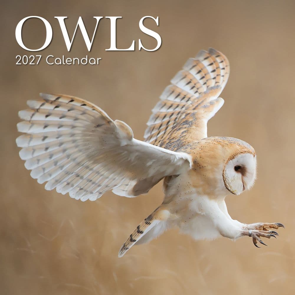 image Owls 2027 Wall Calendar Main Product Image