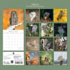 image Owls 2027 Wall Calendar First Alternate Image