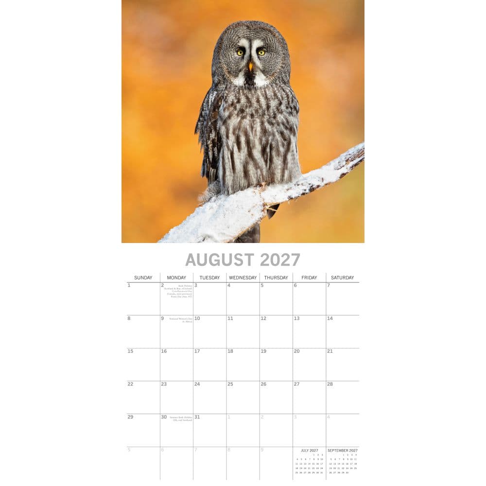 Owls 2027 Wall Calendar Second Alternate Image