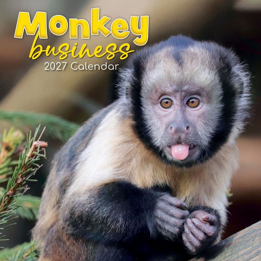 Monkey Business 2027 Wall Calendar