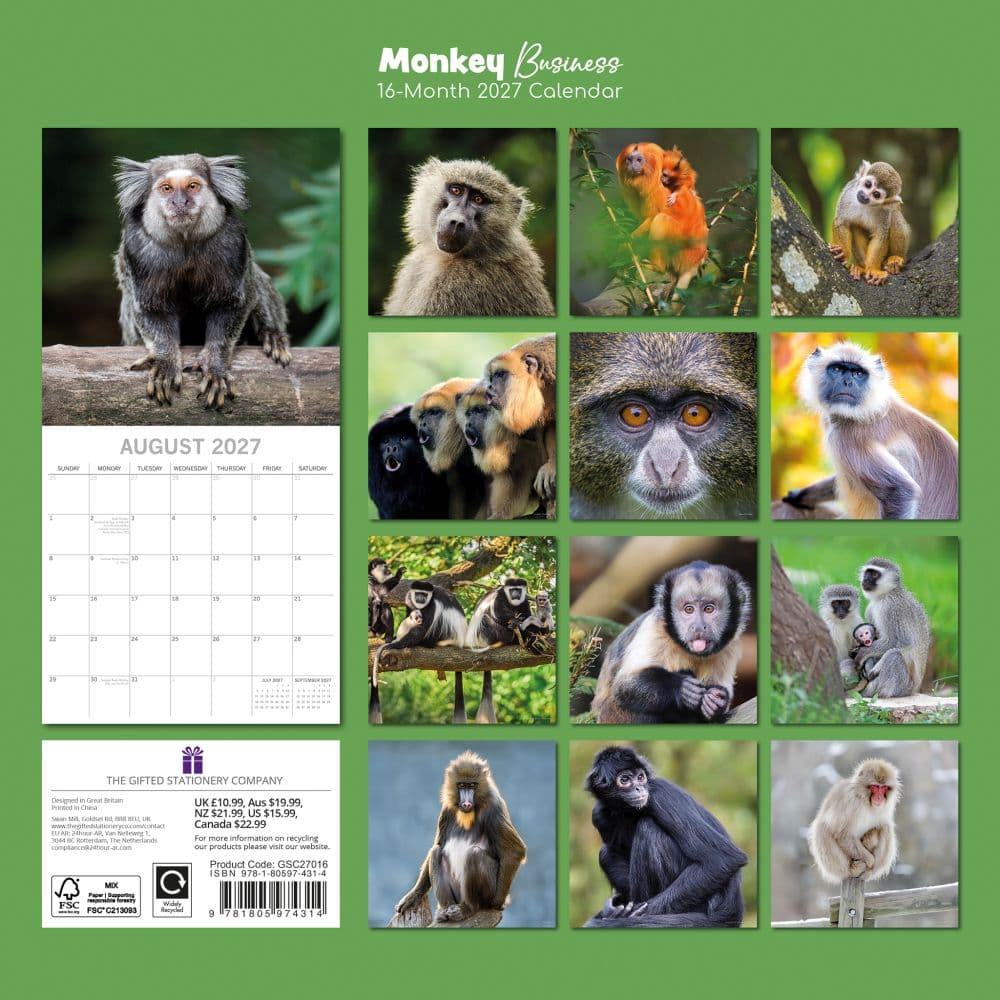 Monkey Business 2027 Wall Calendar First Alternate Image