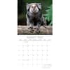 image Monkey Business 2027 Wall Calendar Second Alternate Image