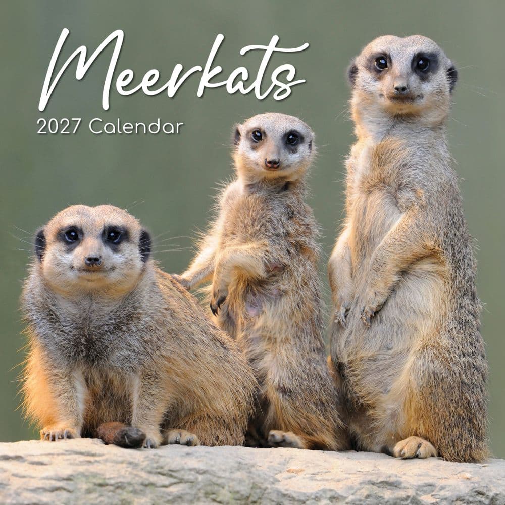 Meerkats 2027 Wall Calendar Main Product Image