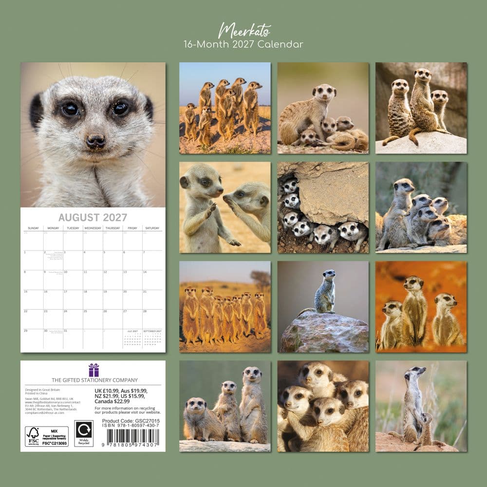 Meerkats 2027 Wall Calendar First Alternate Image