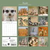 image Meerkats 2027 Wall Calendar First Alternate Image