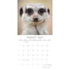 image Meerkats 2027 Wall Calendar Second Alternate Image