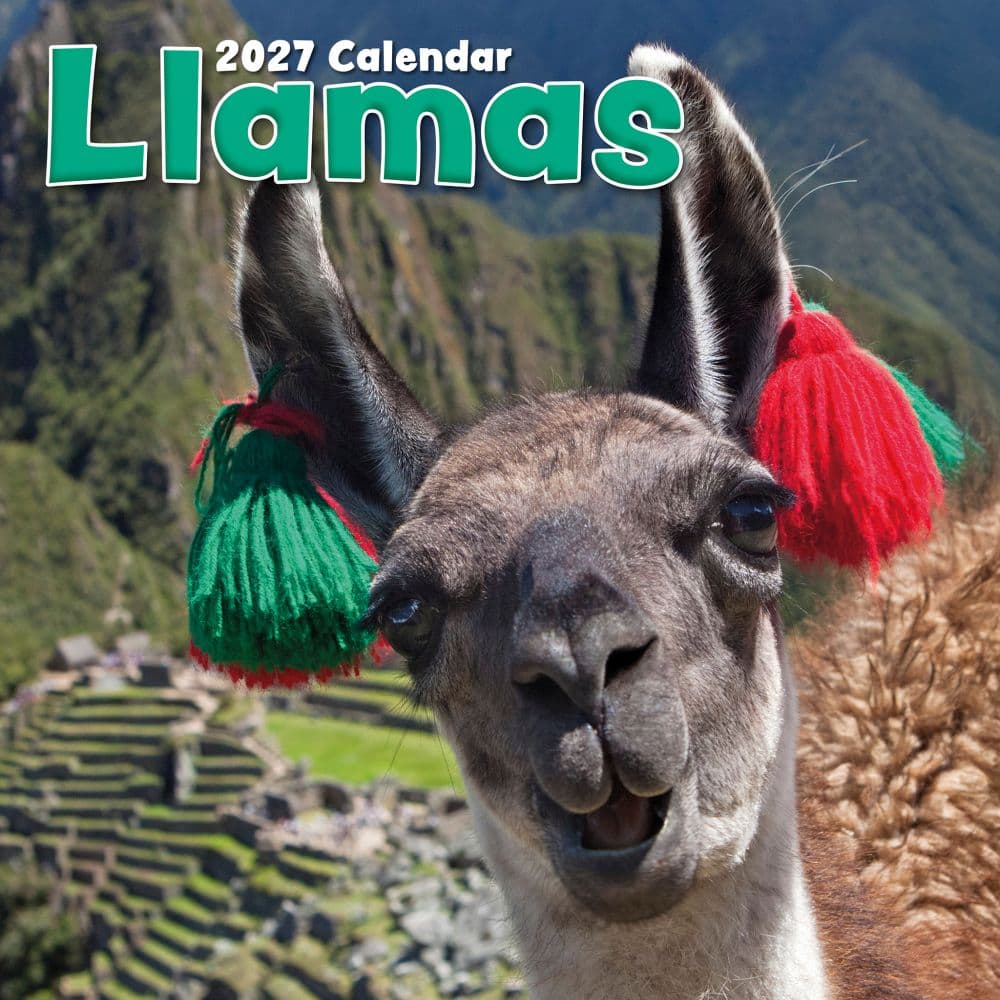 Llamas 2027 Wall Calendar Main Product Image