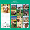 image Llamas 2027 Wall Calendar First Alternate Image