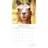 image Llamas 2027 Wall Calendar Second Alternate Image
