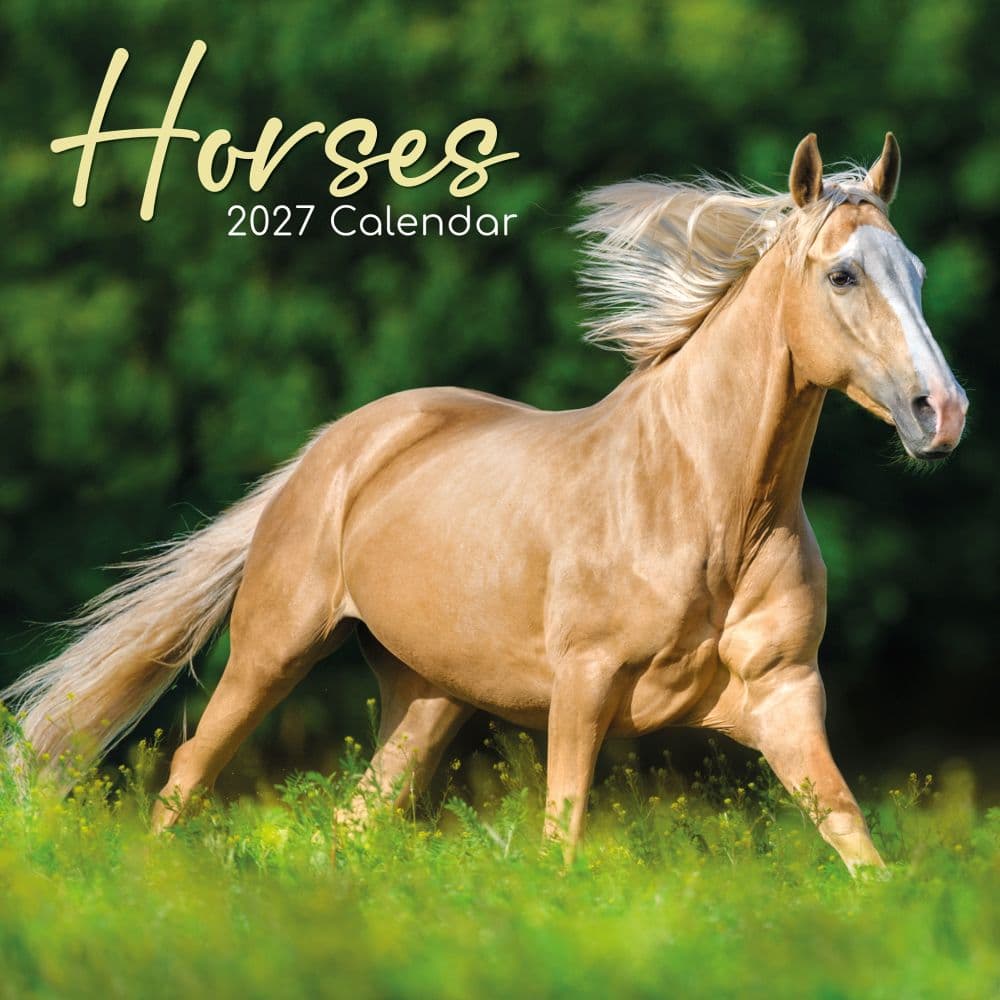Horses 2027 Wall Calendar Main Product Image