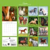 image Horses 2027 Wall Calendar First Alternate Image