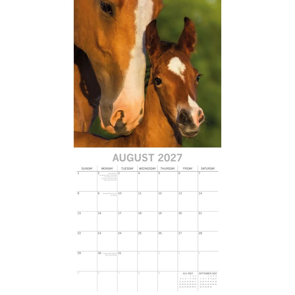 Horses 2027 Wall Calendar Second Alternate Image