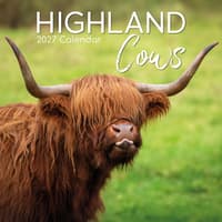 image Highland Cows 2027 Wall Calendar Main Product Image