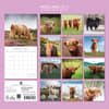 image Highland Cows 2027 Wall Calendar First Alternate Image