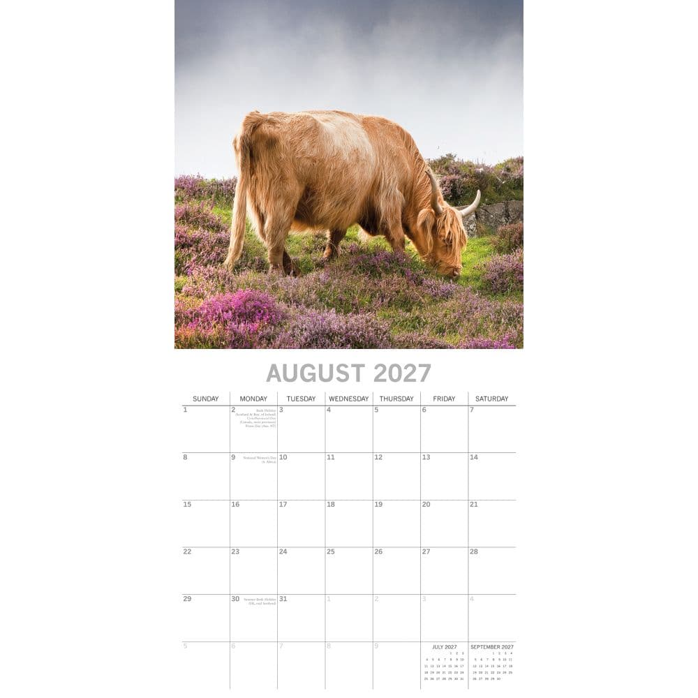 Highland Cows 2027 Wall Calendar Second Alternate Image