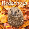 image Hedgehogs 2027 Wall Calendar Main Product Image