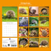 image Hedgehogs 2027 Wall Calendar First Alternate Image