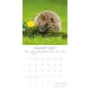 image Hedgehogs 2027 Wall Calendar Second Alternate Image