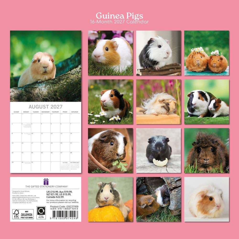 Guinea Pigs 2027 Wall Calendar First Alternate Image