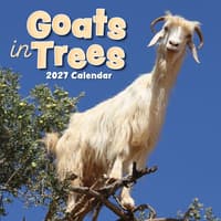 image Goats in Trees 2027 Wall Calendar Main Product Image