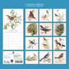 image Garden Birds 2027 Wall Calendar First Alternate Image