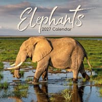 image Elephants 2027 Wall Calendar Main Product Image