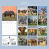 image Elephants 2027 Wall Calendar First Alternate Image