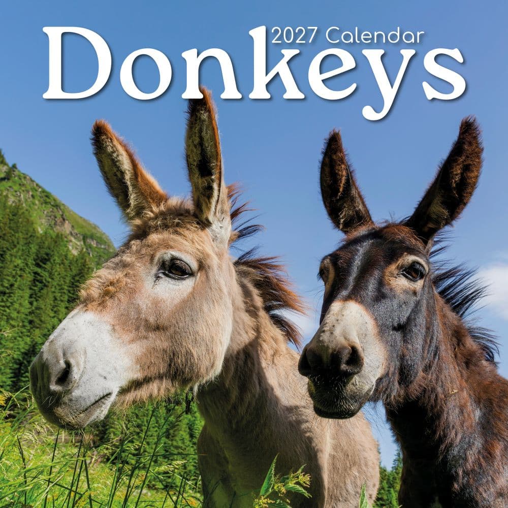 image Donkeys 2027 Wall Calendar Main Product Image
