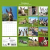 image Donkeys 2027 Wall Calendar First Alternate Image