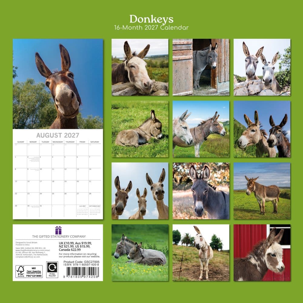 Donkeys 2027 Wall Calendar First Alternate Image