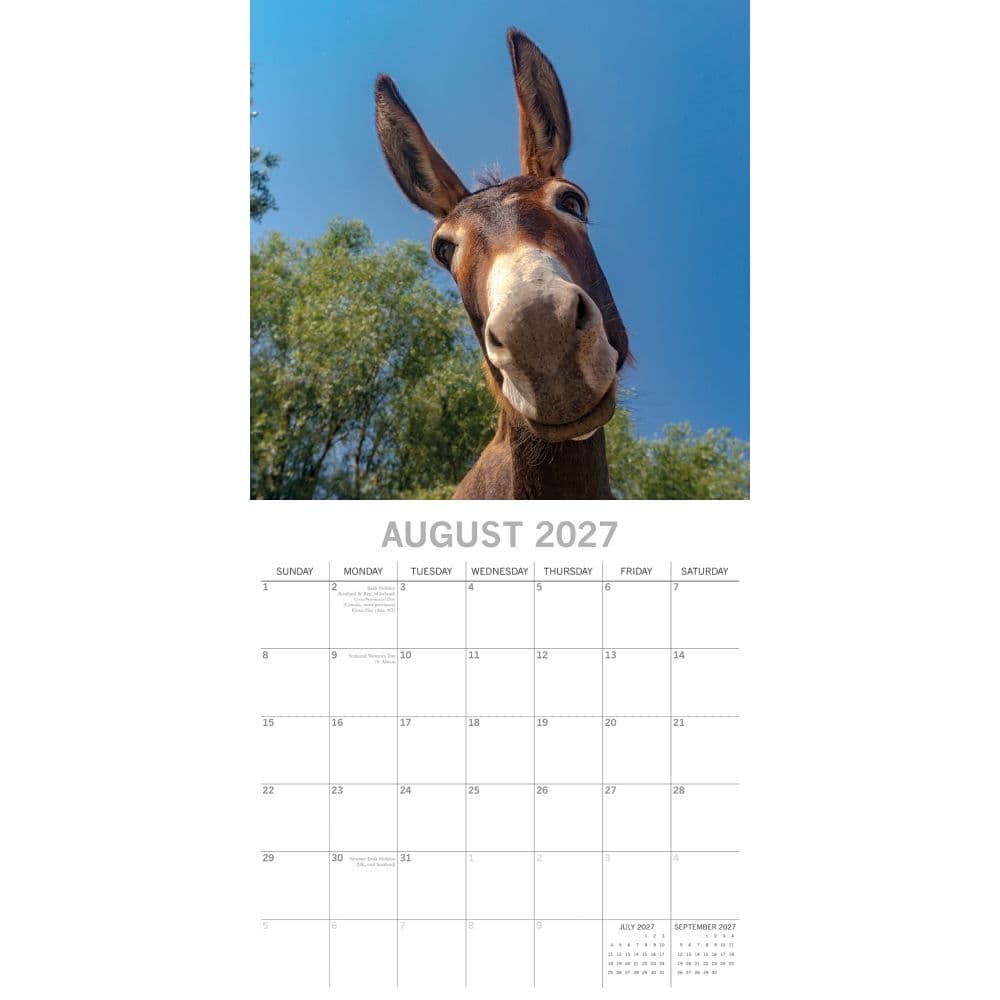 Donkeys 2027 Wall Calendar Second Alternate Image
