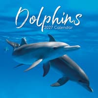 image Dolphins 2027 Wall Calendar Main Product Image