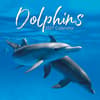 image Dolphins 2027 Wall Calendar Main Product Image