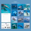 image Dolphins 2027 Wall Calendar First Alternate Image