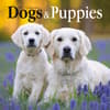 image Dogs and Puppies 2027 Wall Calendar Main Product Image