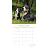 image Dogs and Puppies 2027 Wall Calendar Second Alternate Image