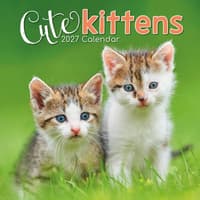 image Cute Kittens 2027 Wall Calendar Main Product Image