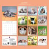image Cute Kittens 2027 Wall Calendar First Alternate Image