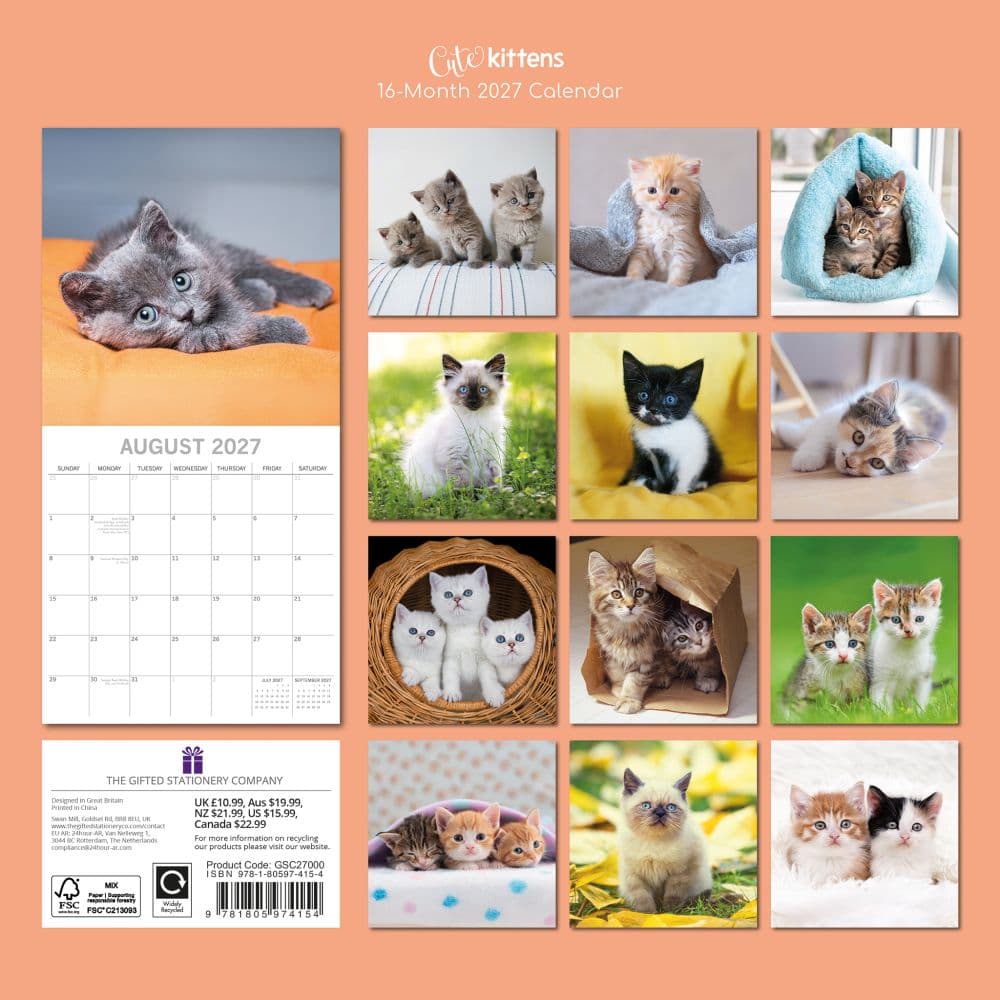Cute Kittens 2027 Wall Calendar First Alternate Image