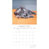 image Cute Kittens 2027 Wall Calendar Second Alternate Image