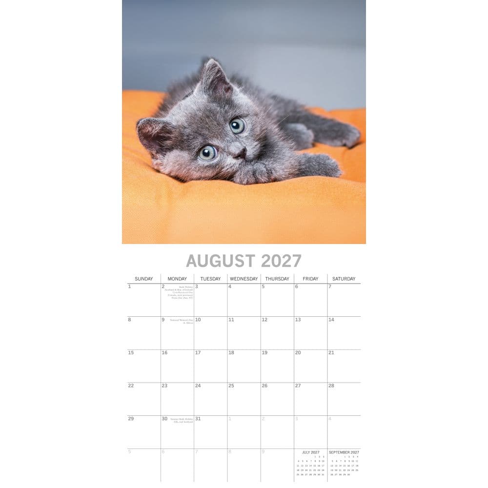 Cute Kittens 2027 Wall Calendar Second Alternate Image
