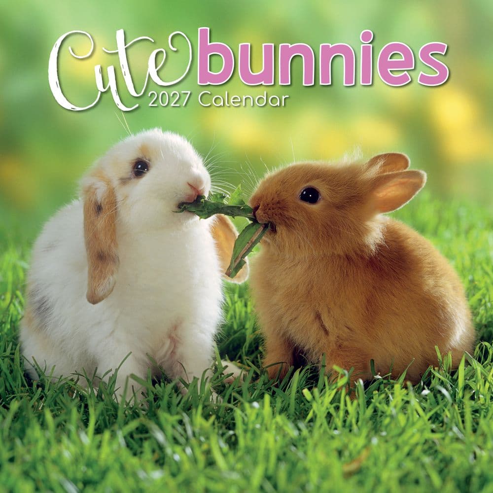 Cute Bunnies 2027 Wall Calendar Main Product Image