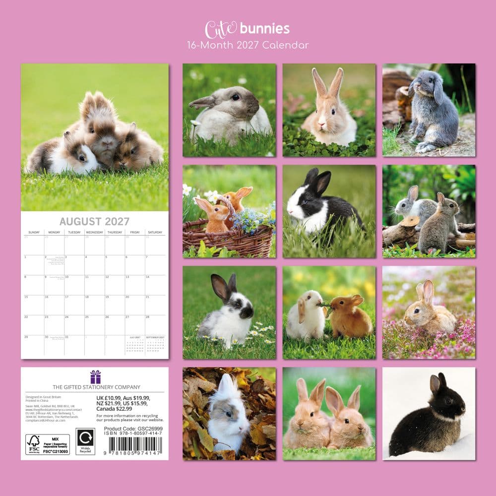 Cute Bunnies 2027 Wall Calendar First Alternate Image
