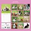image Cute Bunnies 2027 Wall Calendar First Alternate Image