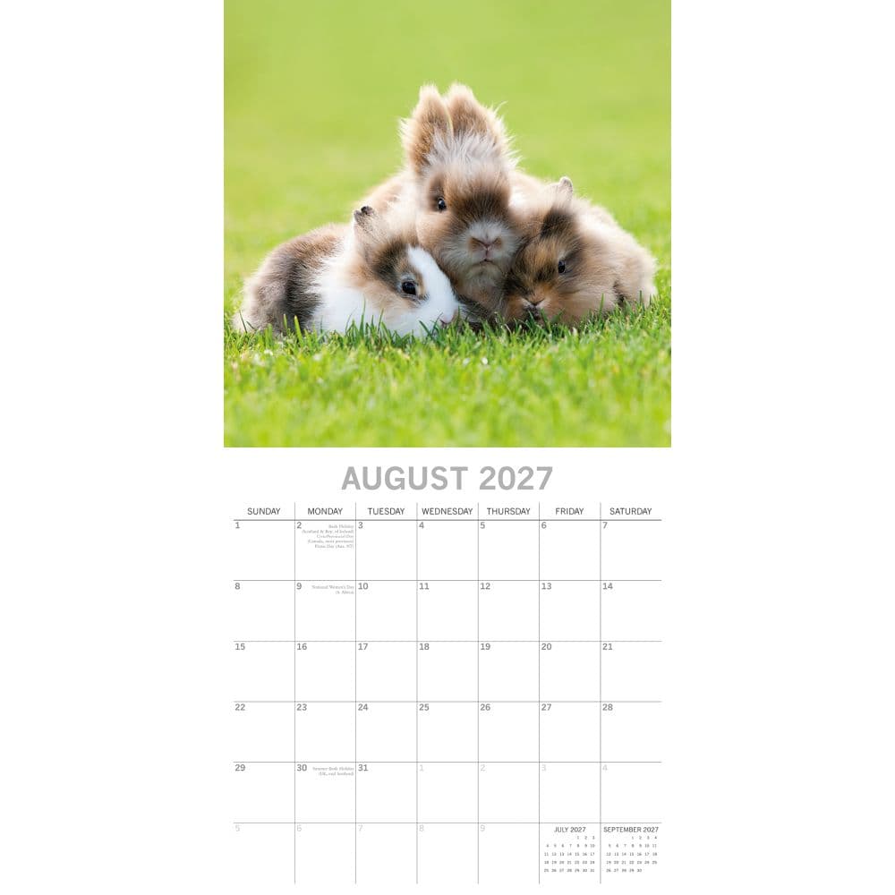 Cute Bunnies 2027 Wall Calendar Second Alternate Image