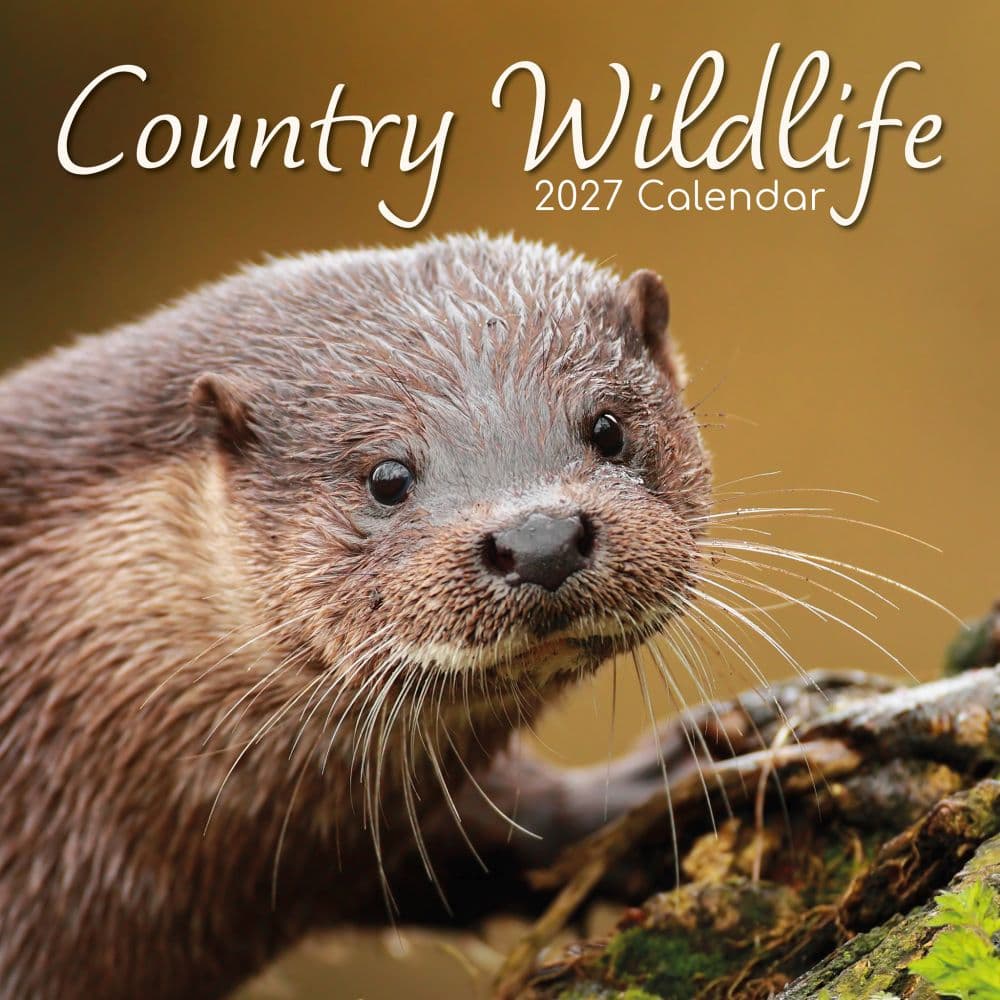 Country Wildlife 2027 Wall Calendar Main Product Image