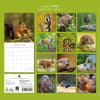 image Country Wildlife 2027 Wall Calendar First Alternate Image